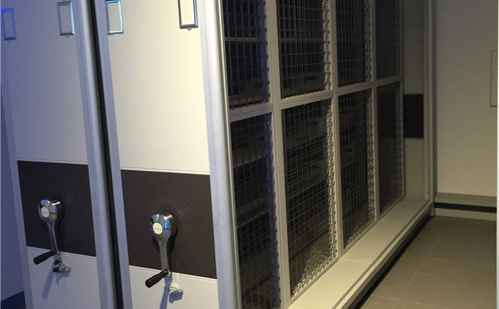 �F�Ƥ�����ܼ��܏S��